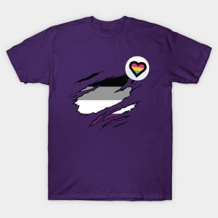 Pansexual/Asexual Pride T-Shirt